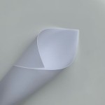 Backlit PVC Banner Coated，510micron